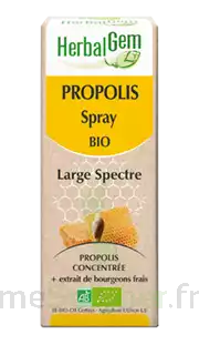 Herbalgem Propolis Large Spectre Solution Buvable Bio Spray/15ml à Saverne